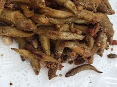 -柳周农家菜特色老店沙田柚美食(东大街店)