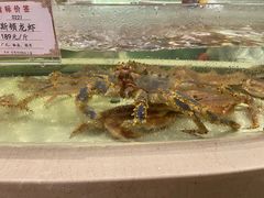 -白金汉爵大酒店(相城店)