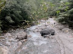 -西岭雪山大飞水景区