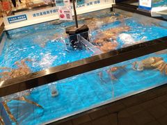 -大润发(康桥店)