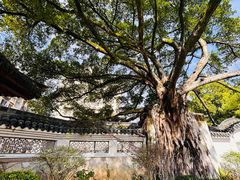-墨池公园