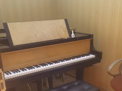 -柏斯音乐艺术中心·钢琴·吉他(世纪金源店)