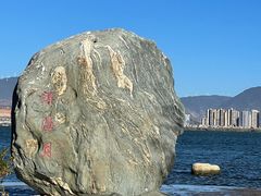 -洱海月湿地公园