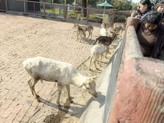 -无锡动物园·太湖欢乐园