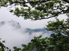 -张家界天门山国家森林公园