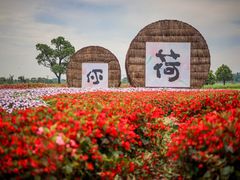 -嘉北郊野公园
