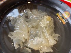 银耳-钢管厂五区小郡肝火锅串串香(总店)