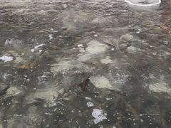 -大通湖