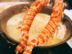 -鲜入围煮花胶鸡海鲜火锅