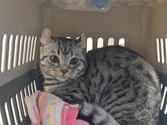 -达爱动物医院·犬猫分区·CT·复杂眼科(远洋山水分院)