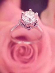 -I Do(镇江苏宁广场店)