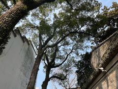 -天一阁博物院