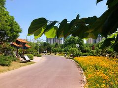 -济南国际园博园