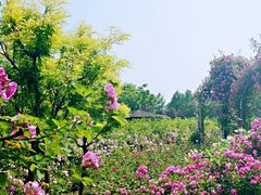 -尚贤河湿地