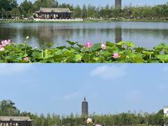 -西海子公园