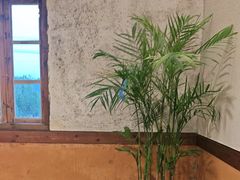 -民俗村柴火灶·景德江西菜(中国陶瓷博物馆店)