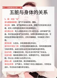 点击看大图 -玛莲朵·海菲秀冰珀科