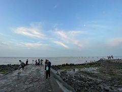 -南汇嘴观海公园