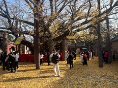 -浮来山风景区