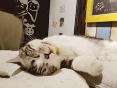 -小时光咖啡馆(开森度假森林店)