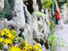-黄檀硐景区