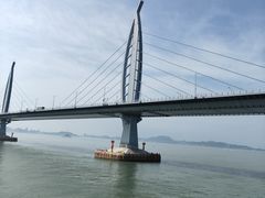 -港珠澳大桥(珠海段)