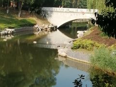 -大兴滨河森林公园