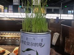 -很久以前羊肉串(长寿路星方汇店)