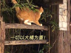 -萨芭蒂高空花园餐酒吧