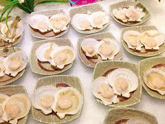 扇贝-阳光岛·海鲜盛宴(银泰中心in99店)