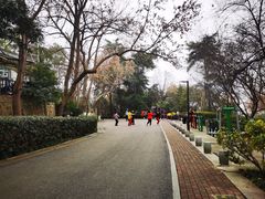 -北极阁公园