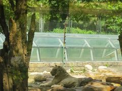 -北京野生动物园