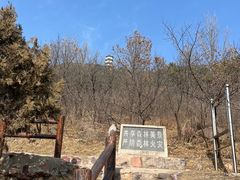 -北京十三陵国家森林公园蟒山景区