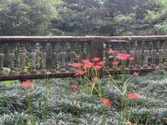 -莫干山风景区