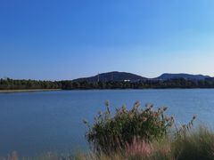 -羊山湖公园