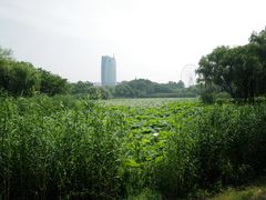 -无锡蠡湖国家湿地公园-蠡园