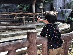 -清迈夜间动物园