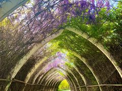 -天津东丽湖风景区