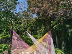 -广州市白云山风景名胜区