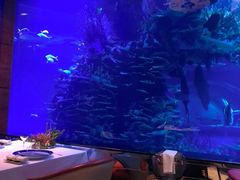 -迪拜帆船酒店海底餐厅