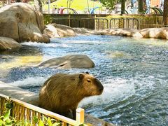 -北京野生动物园