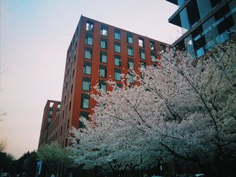 浙江大学紫金港校区安中大楼