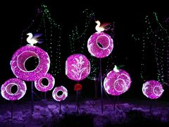 -长春公园(普阳街道)