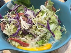 -喜上喜鸡煲翅(吉大店)