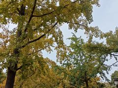-八大关景区