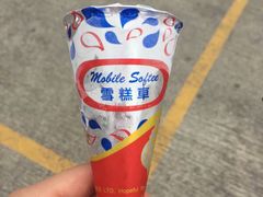 -富豪雪糕车流动点(尖沙咀店)