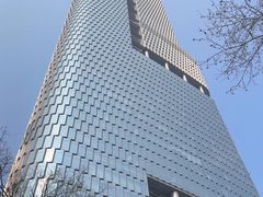 -紫峰大厦