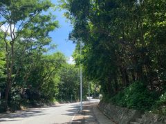 -梧桐山风景名胜区