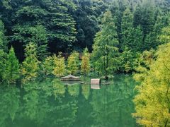 -广州市帽峰山景区
