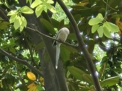 -苏州河梦清园环保主题公园